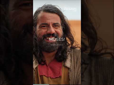 The feeling when all the homies get back on xbox together for the first time in years….