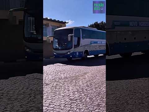 NOVO HORIZONTE 1033311 - COMIL CAMPIONE 3.65 #zezédicamargoeluciano #sertanejo #musica #music