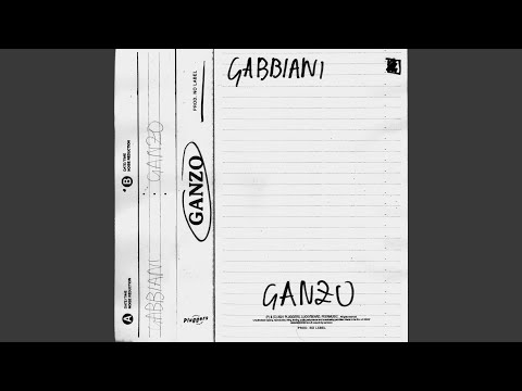 Video thumbnail for Gabbiani