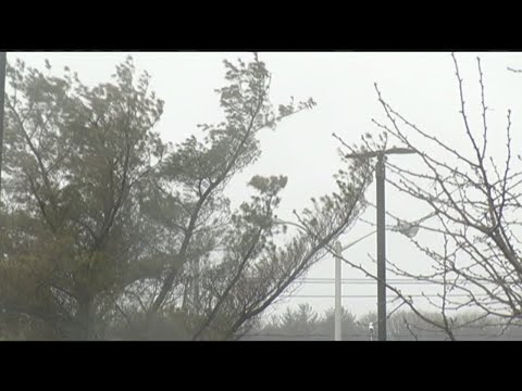 Friday's Nor'easter brought mainly rain to the valley