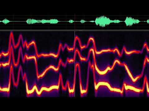 SWS Sintesi Vocale Sinusoidale (Sine Wave Speech synthesis)