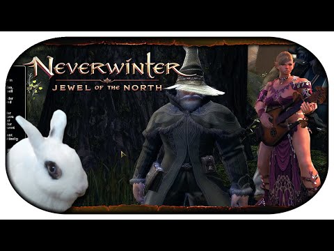 NEVERWINTER: Mit Sang und Klang durch Faerun 🎸 11 - Die Geschichte von Mount Hotenow