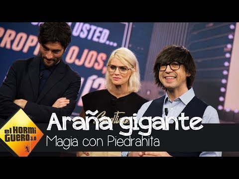 Amaia Salamanca y Javier Rey descubren el truco de Luis Piedrahita - El Hormiguero 3.0