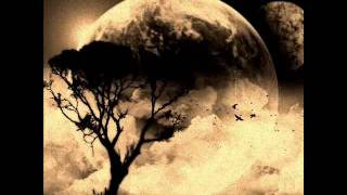 Alela Diane - The Rifle