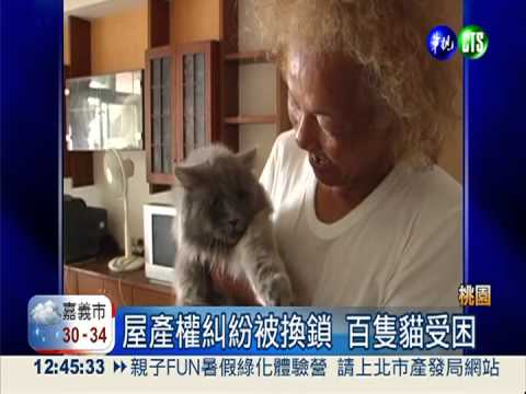 3天沒人餵食! 貓爺爺破屋救貓