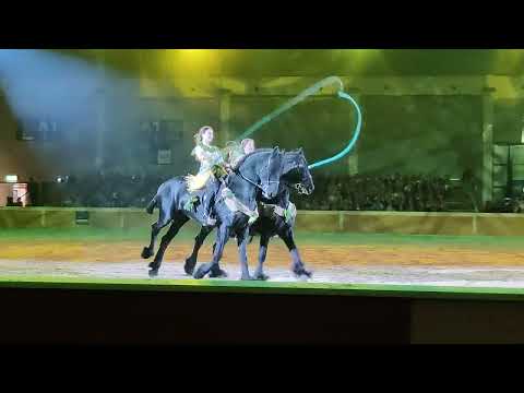 Pferd Bodensee Gala Team Früh-Berger