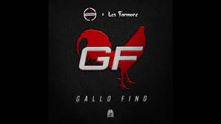 Gallo Fino Lyrics English Translation