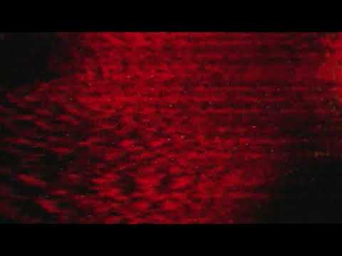 SIX40TWO and Magnificence