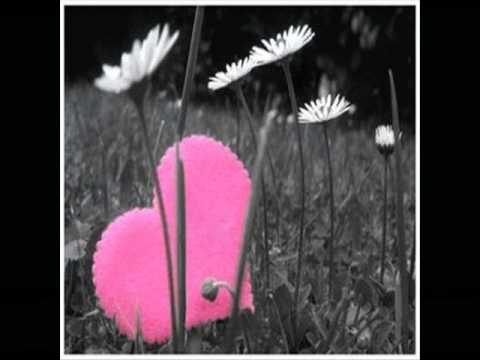 Das will ich dir noch sagen...♥