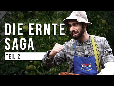 The Harvest Saga | Part 2