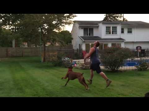 forced conversations