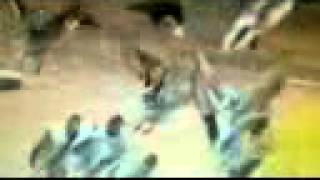 Cocteau Twins - Aloysius (96 Mix)