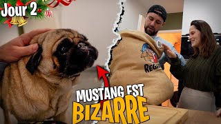 Mustang est en déprime on sait pas pourquoi... - Jour 2 Mustang est en déprime on sait pas pourquoi... - Jour 2