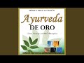 Ayurveda de Oro: Música para Sanación: Música Continua Sin Interrupción (60 Minutos: Música...