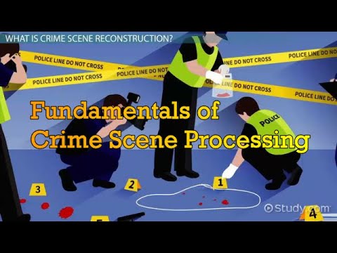 Fundamentals of Crime Scene Processing