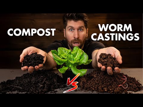 Do Worm Castings ACTUALLY Increase Growth? I TESTED It To Find Out!