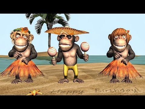 Funny animal videos - Happy Birthday to You! The Monkey Version
