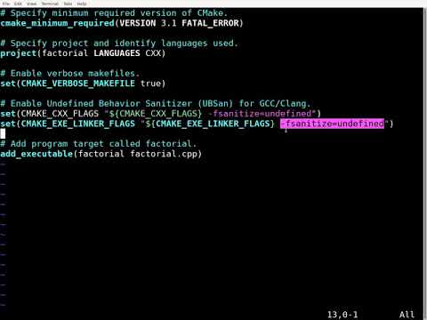 Undefined Behavior Sanitizer (UBSan) Demonstration