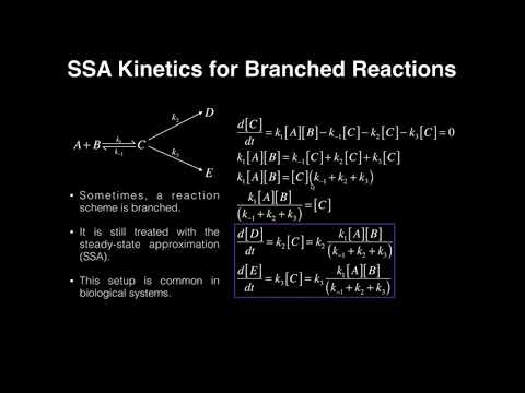 Kinetics of Branched Reaction Schemes Using Steady-State Approximation