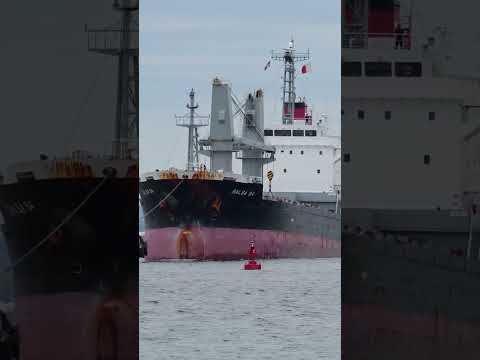 Baltimore bridge collapse First cargo ship sails through wreckage Shorts