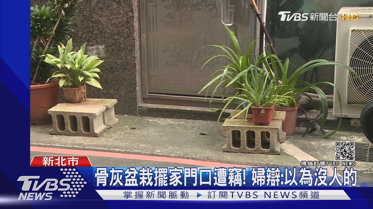 還我骨灰!毛小孩火化埋盆栽 婦「順手偷」