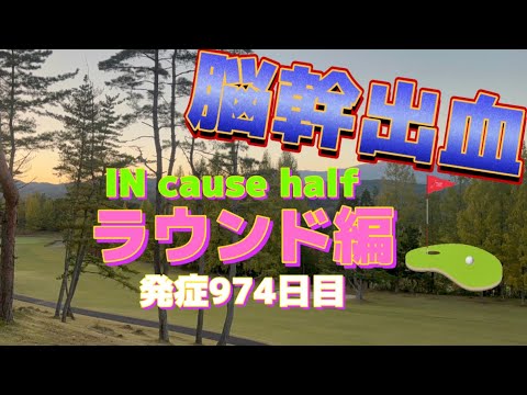 Hemorragia no tronco cerebral, efeitos colaterais da hemiplegia direita, desafios ao redor