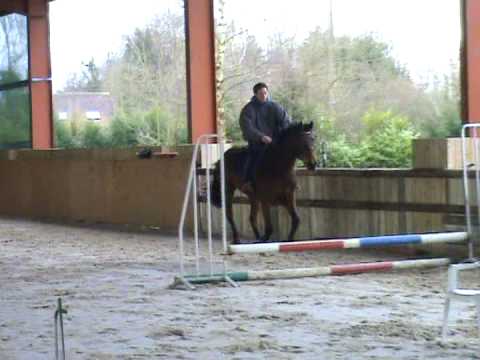 POULICHE PAR QUAPRICE / KANNAN / JUS DE POMME