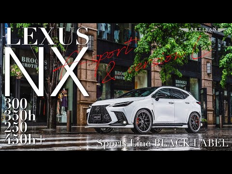 ARTISAN SPIRITS_BLACK LABEL【LEXUS NX350/350h/250/450h+ “version L”&“F SPORT”_BODY KIT】｜レクサスNX用エアロ