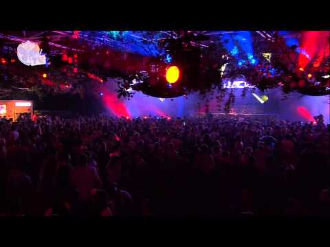 Tomorrowland 2013 - Quintino (2)