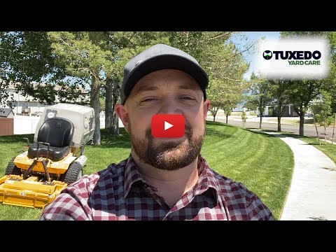 🌿Is Bagging the Grass or Mulching it better?🌿