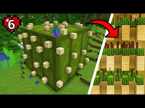 Crazy Cactus Farm Build in Minecraft!