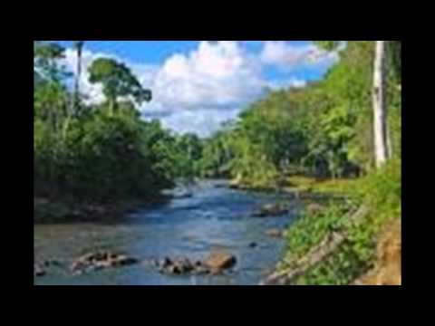 SANTO BOYS    VITAMIN