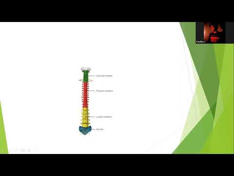 Tamil webinar about Disc bulge vs Sciatica,