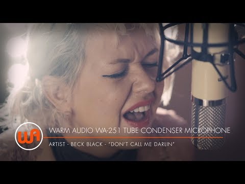 Warm Audio // Beck Black - "Don't Call Me Darlin'"  WA-251 Tube Condenser Microphone