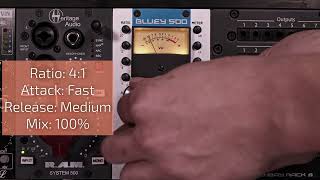 Bluey 500 Audio demo: Soul vocal