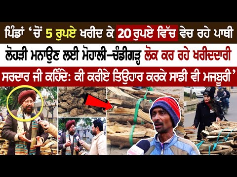 ਪਿੰਡਾਂ ‘ਚੋਂ 5 ₹ ਖਰੀਦ ਕੇ 20 ₹ ਵਿੱਚ ਵੇਚ ਰਹੇ ਪਾਥੀ Lohri ਮਨਾਉਣ ਲਈ Mohali Chandigarh ਲੋਕ ਕਰ ਰਹੇ ਖਰੀਦਦਾਰੀ