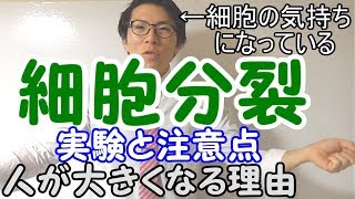 【中学理科】2-1 細胞分裂～成長の理由と観察～【中３理科】