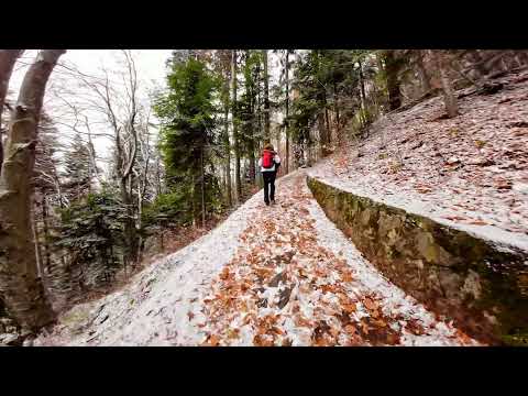 The Royal Path-4K -Poteca Regala din Sinaia drumul Regilor