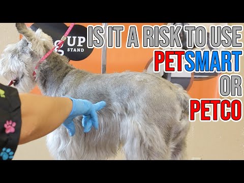 Client View About Taking Your Dog To Pet Smart Or Petco