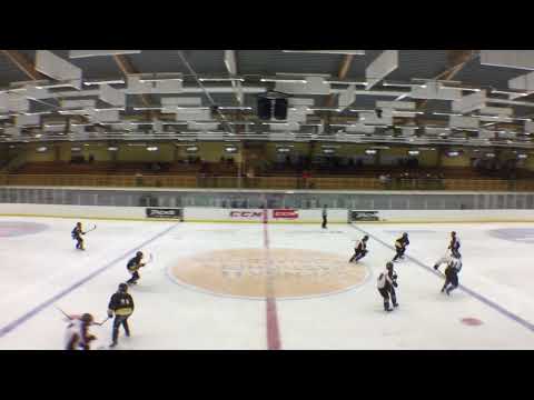 Haninge Anchors 04 vs. Tranås AIF Period 1