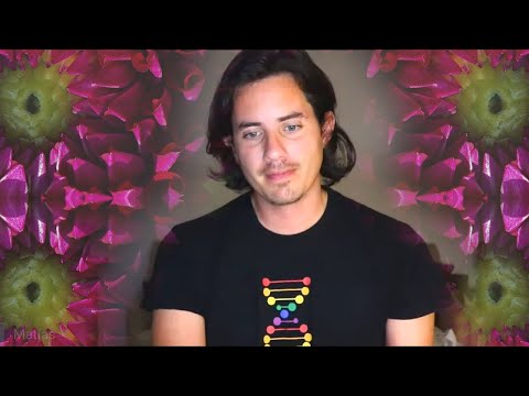 Day 342 FRUIT Alignment- Matias De Stefano - English Edit