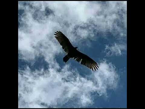 San Marcos Sierras-Córdoba-Argentina ❤️🌎