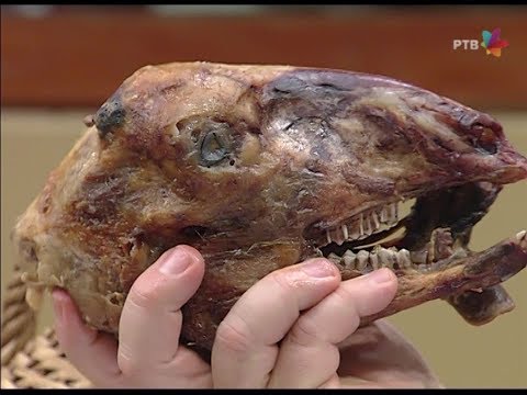 DRŽAVNI POSAO [HQ] - Novogodišnji specijal (31.12.2018.)