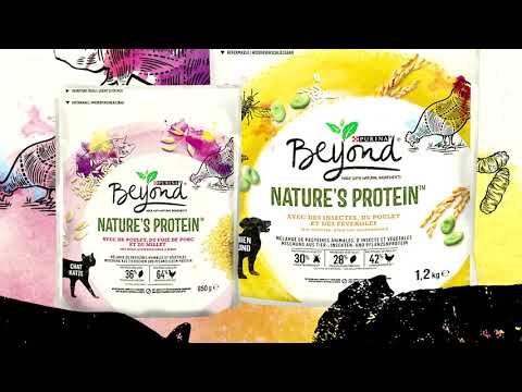 Why Nestle is putting insects in pet food