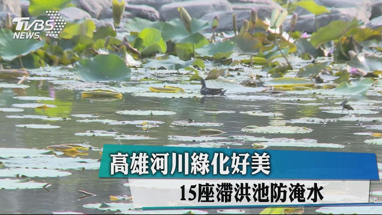 高雄河川綠化好美 15座滯洪池防淹水