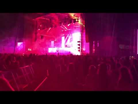 Bassnectar Bonnaroo 2018 Do It Like This