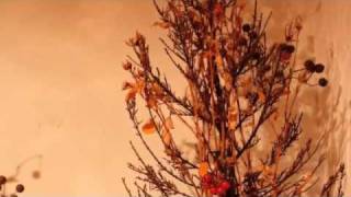 My Funny Valentine   Great Jazz Trio