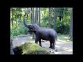 Elephant Trumpeting Sound Effect