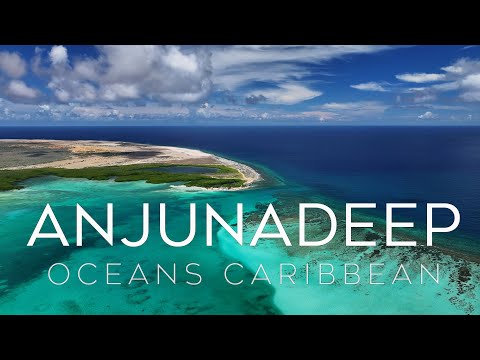 Ocean Therapy | Caribbean | Anjunadeep