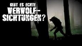 Gibt es echte Werwolfssichtungen? | Katis Fright Day